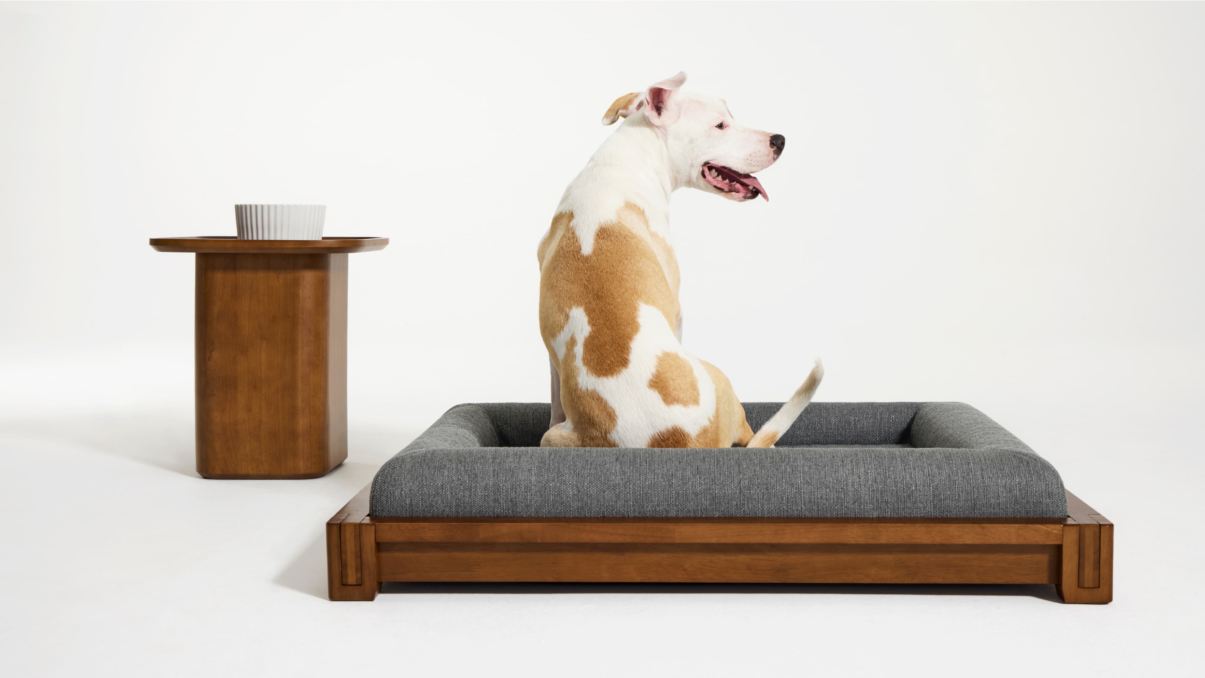 Classic Dog Bed: Shop the room - Desktop