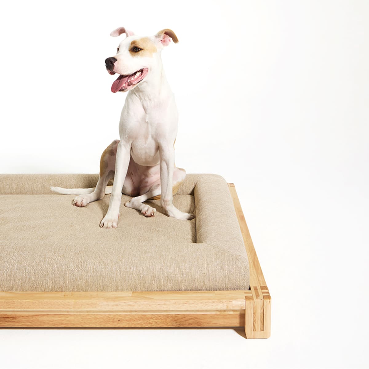 Classic Dog Bed -  Sleek Aesthetic  - Mobile