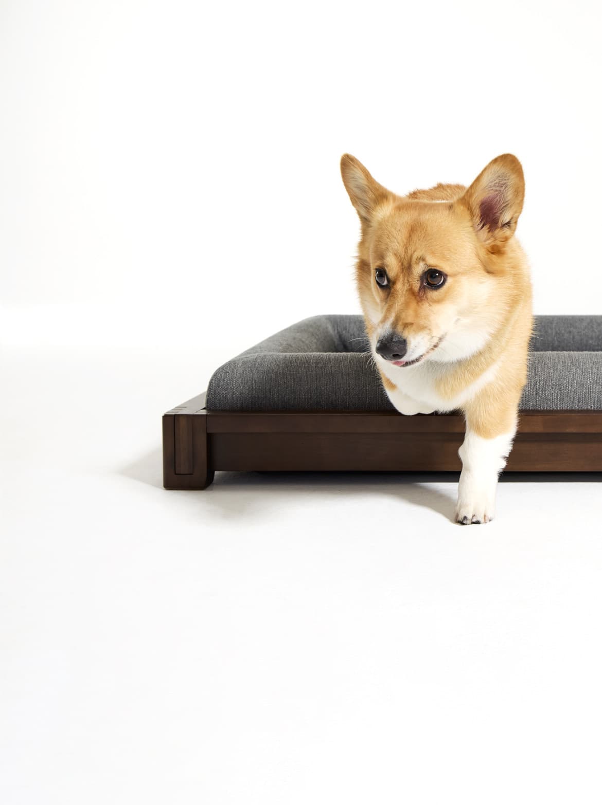 Homepage: Classic Dog Bed - Mobile