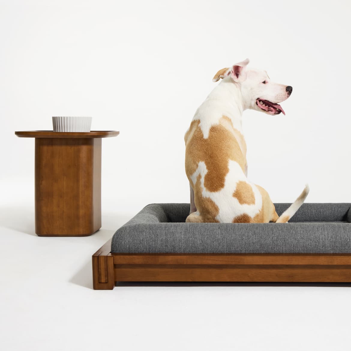 Classic Dog Bed: Shop the room - Mobile