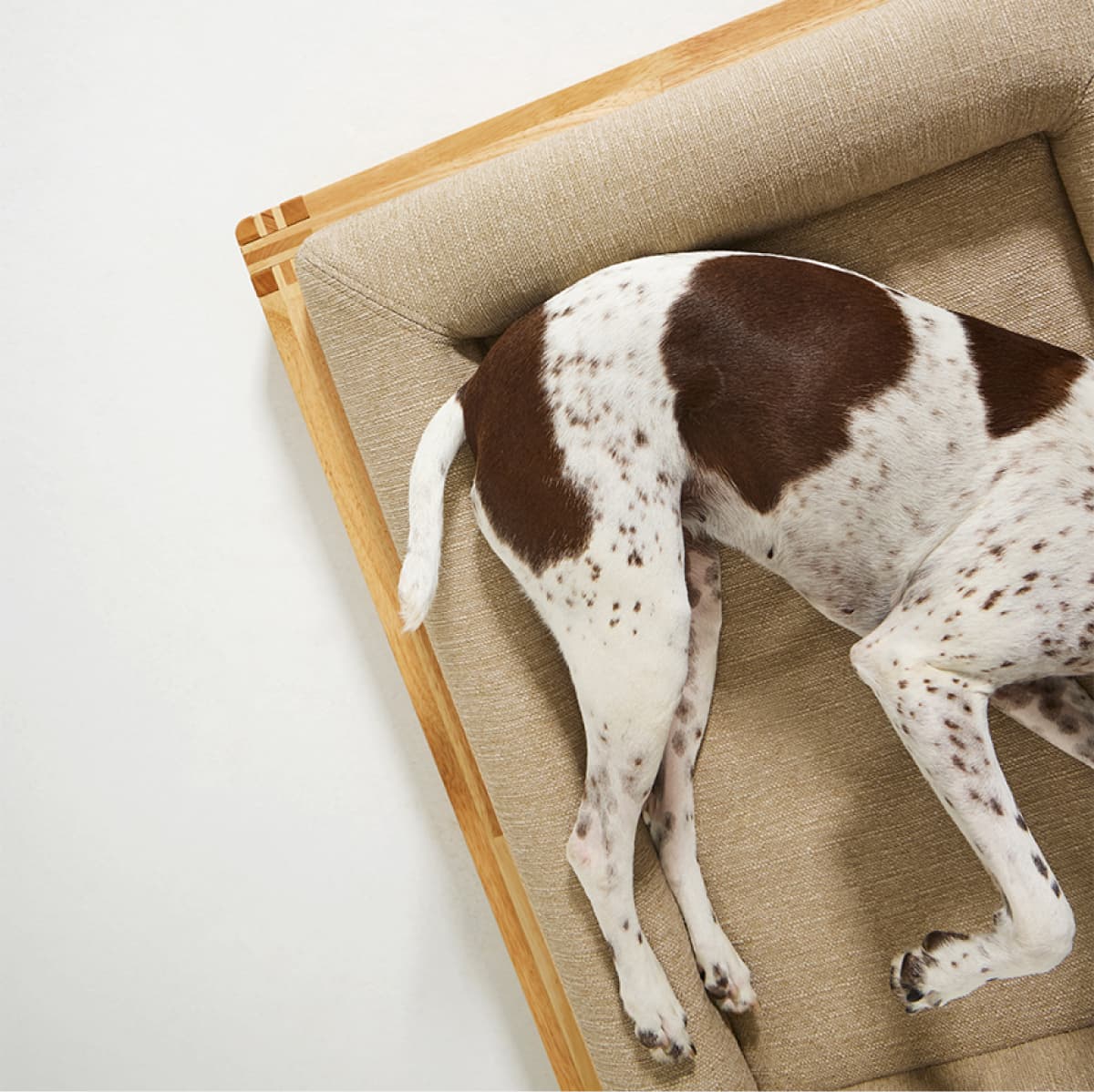 Classic Dog Bed - Premium Comfort - Mobile