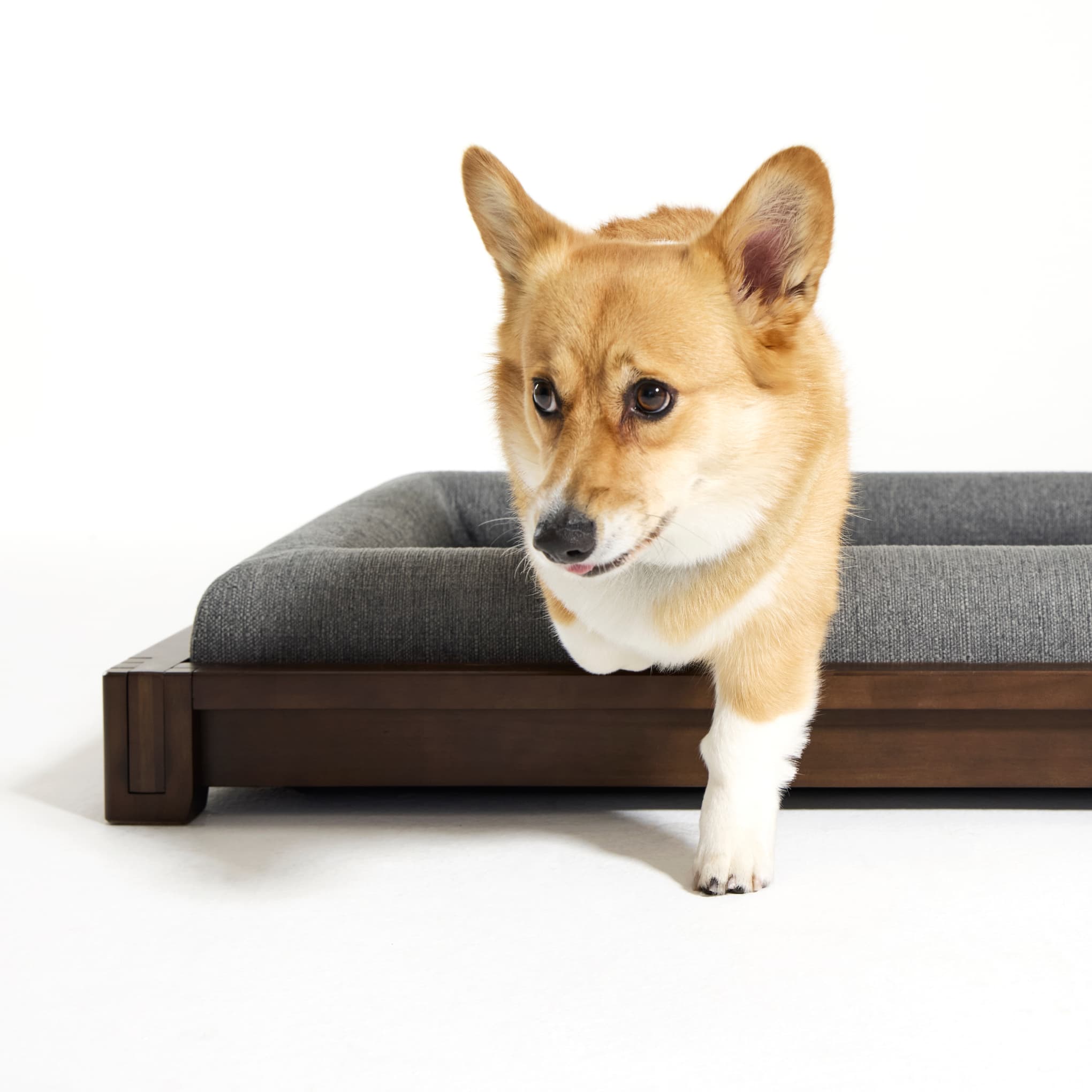 Homepage: Classic Dog Bed - Desktop